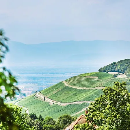 Relax Tannenhof