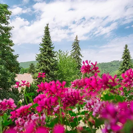 Relax Tannenhof Ξενοδοχείο