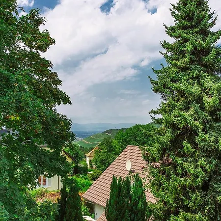 Ξενοδοχείο Relax Tannenhof 3*