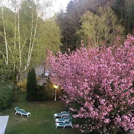 Hotel Relax Tannenhof Badenweiler